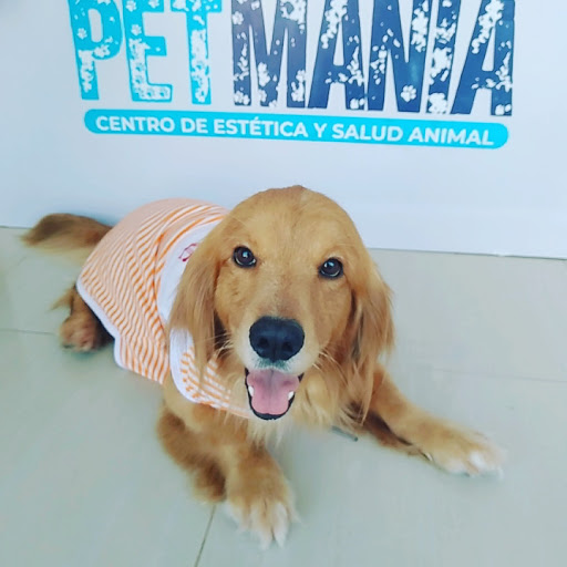 PETMANÍA CENTRO DE ESTÉTICA Y SALUD ANIMAL