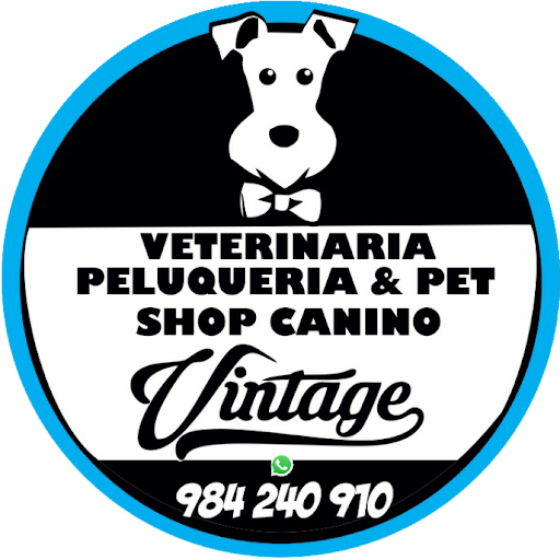 VETERINARIA VINTAGE