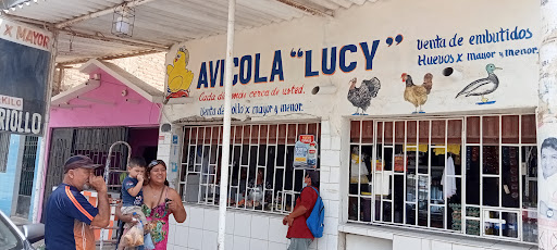 Avicola Lucy